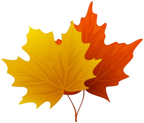 maple leaf clipart|maple leaf images free.